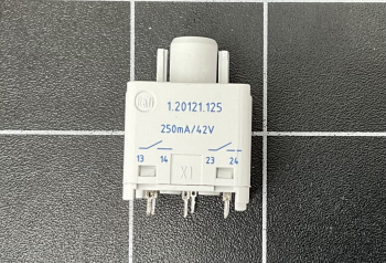 RAFI Rafix S26 Print-Schaltelement mit Lampenfassung 1.20.121.125/0000